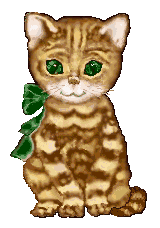 MON CHAT