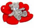 MON OURS A MOI